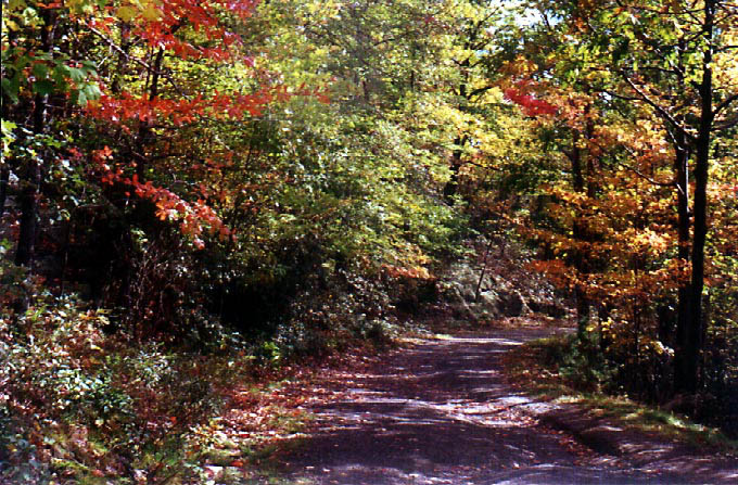 OvercliffPath