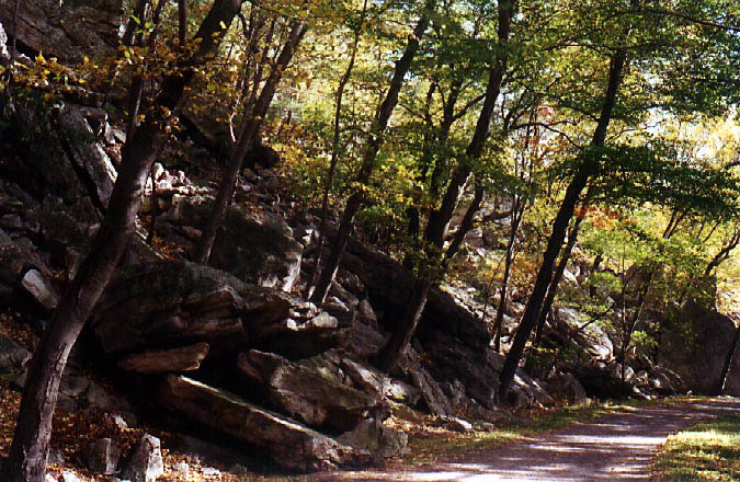 ShawangunkRocks