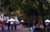 HuguenotStAppleFestival