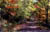 OvercliffPath