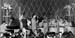 01BennyGoodman_Holl#6BE828